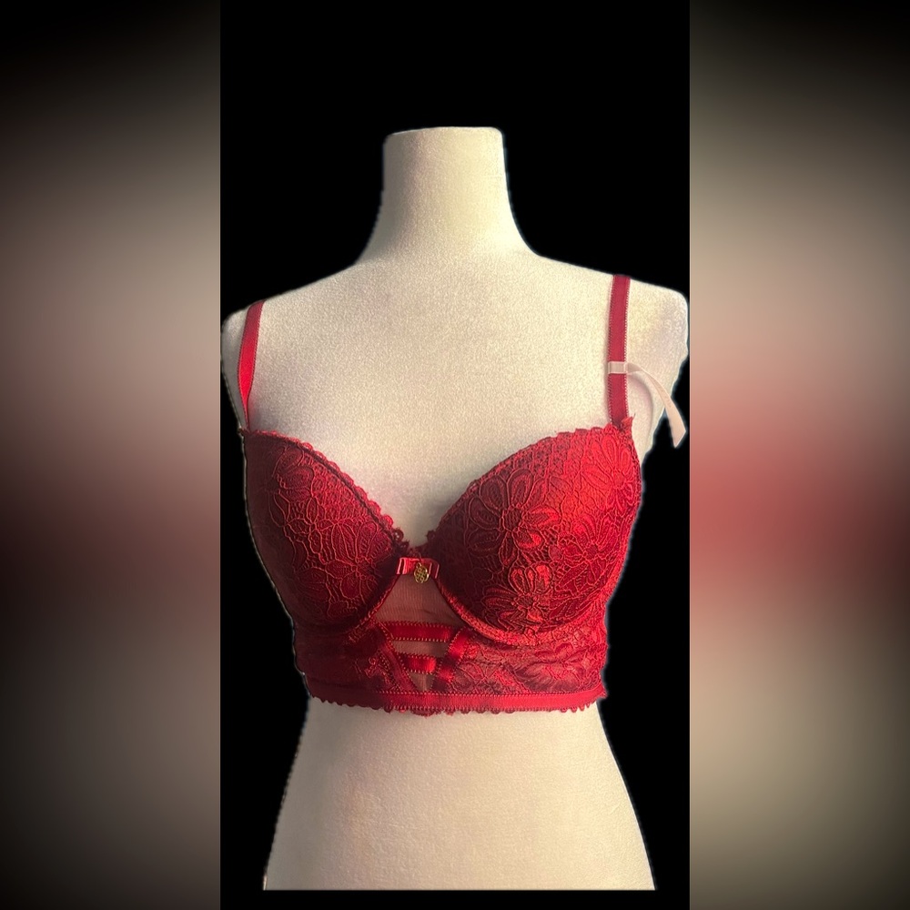Daisy Fuentes size 36 D color burgundy lace push up bra